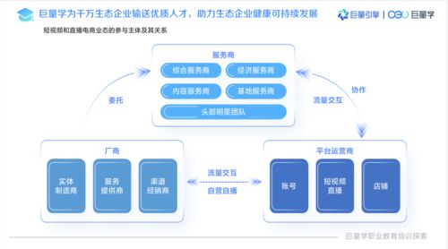 创新数字营销人才培养 巨量学入选人社部推荐优质线上职业技能培训平台