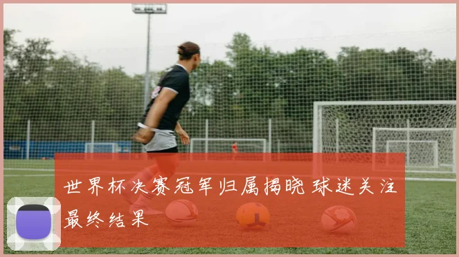 世界杯决赛冠军归属揭晓 球迷关注最终结果