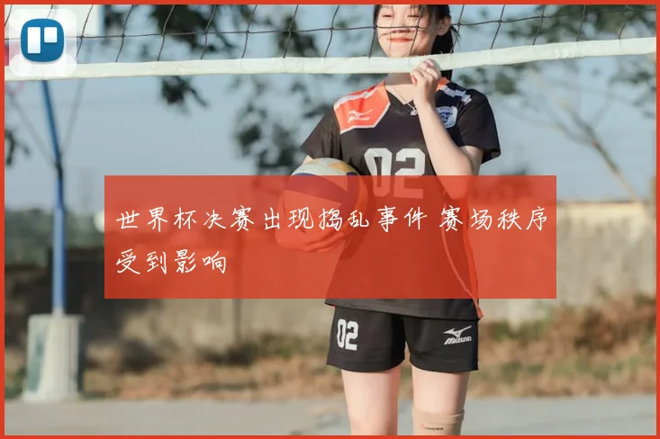 世界杯决赛出现捣乱事件 赛场秩序受到影响